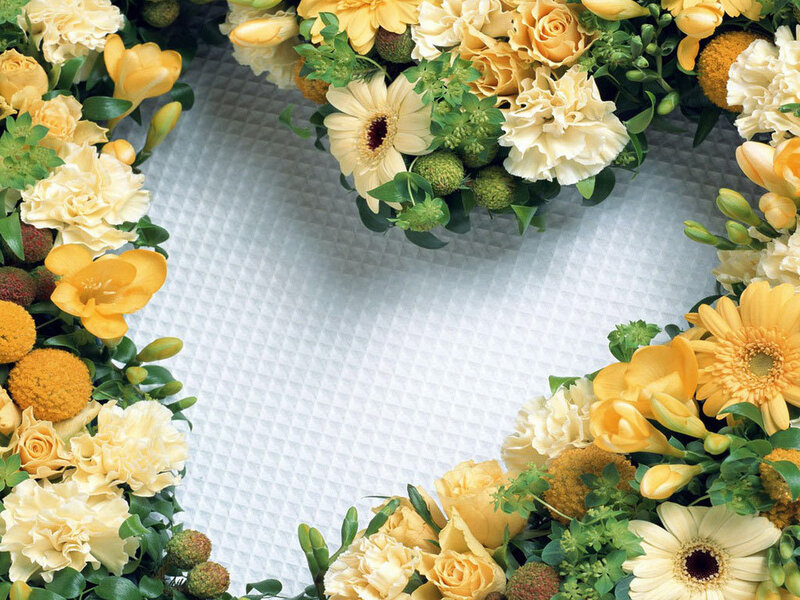Yellow and Cream Flowers