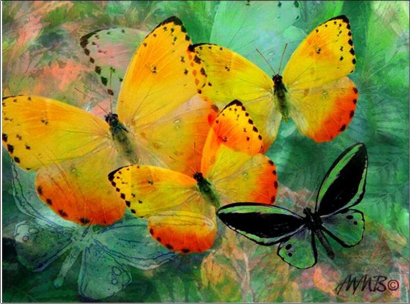Yellow and Green Butterflies