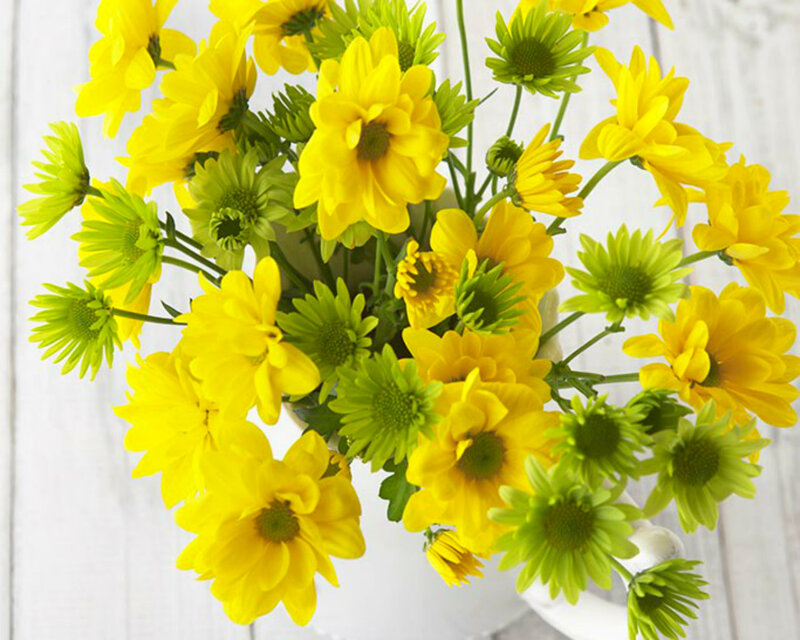 Yellow and Green Chrysanthemums