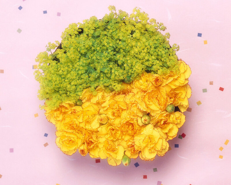 Yellow and Green Flowers
