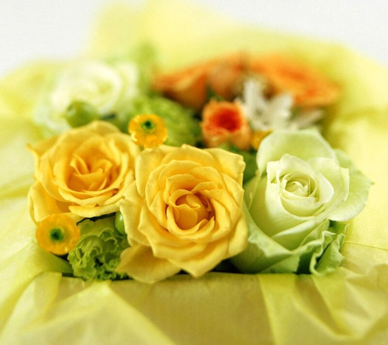 Yellow and Green Roses