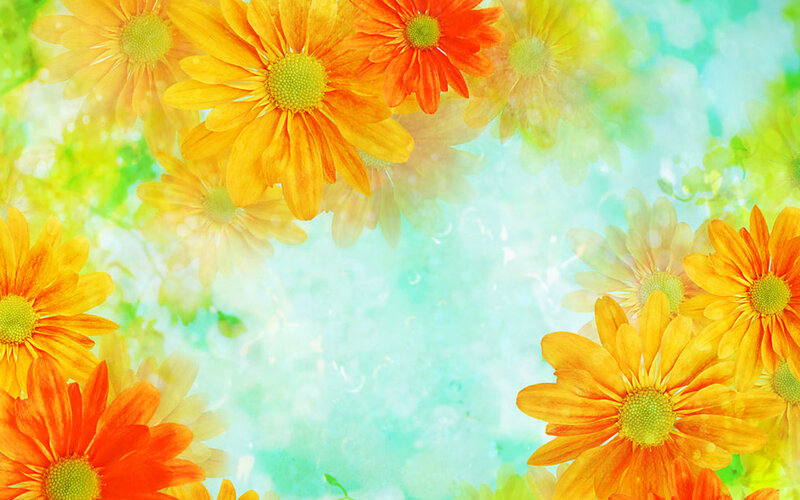 Yellow and Orange Daisies — Bright, Spring