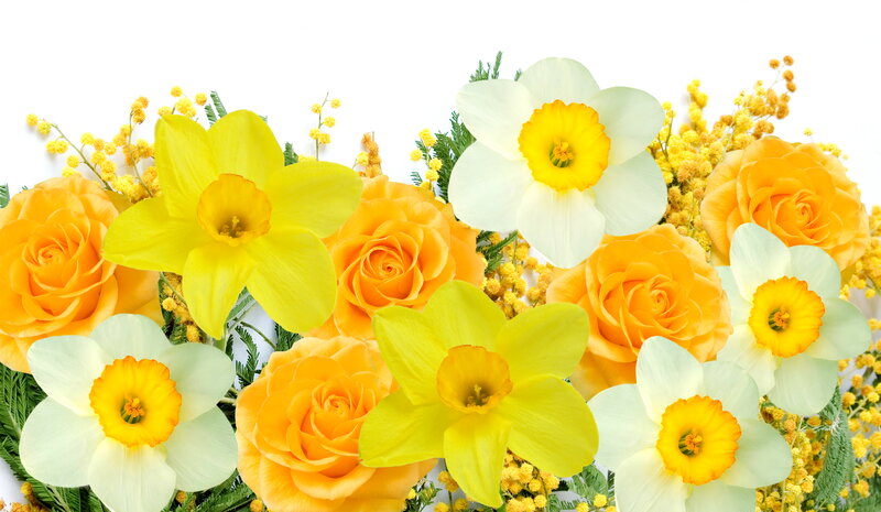 Yellow and Orange Flowers — Bright, Spring