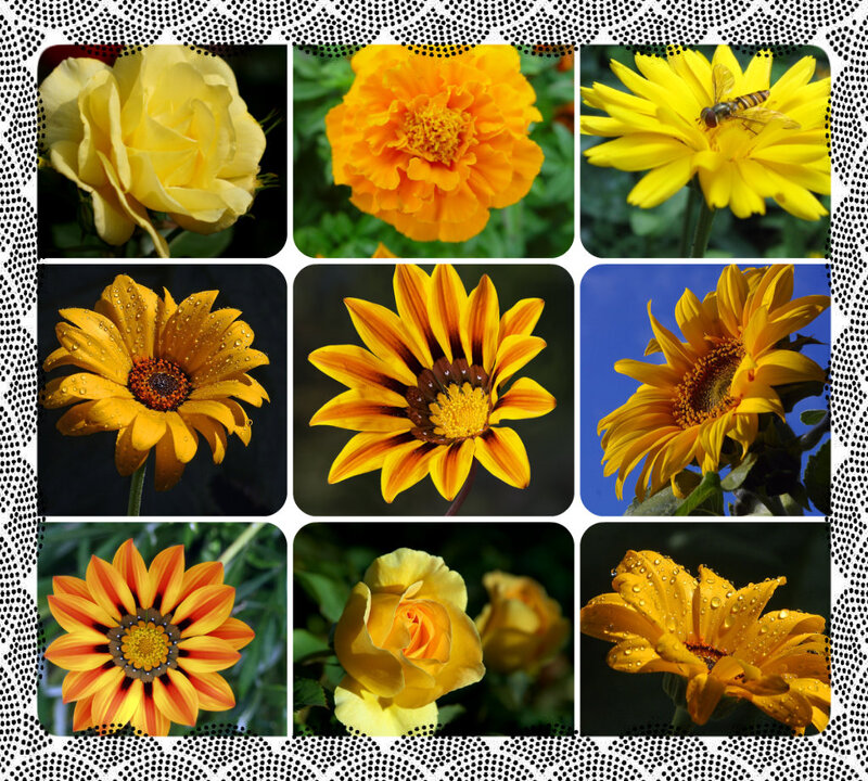 Yellow and Orange Flowers — Bright