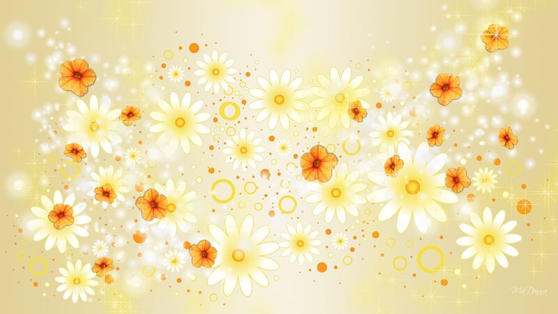 Yellow and Orange Flowers — Cheerful