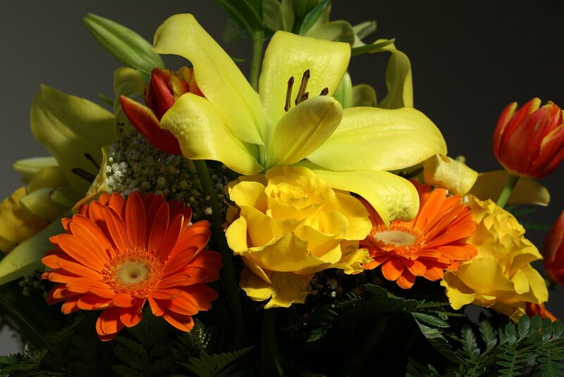 Yellow and Orange Flowers — Dramatic