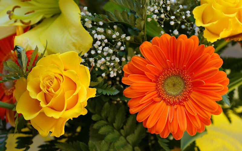Yellow and Orange Flowers — Vibrant, Photograph