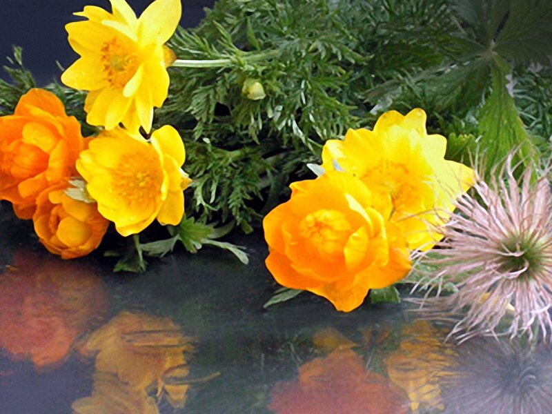 Yellow and orange flowers with greenery