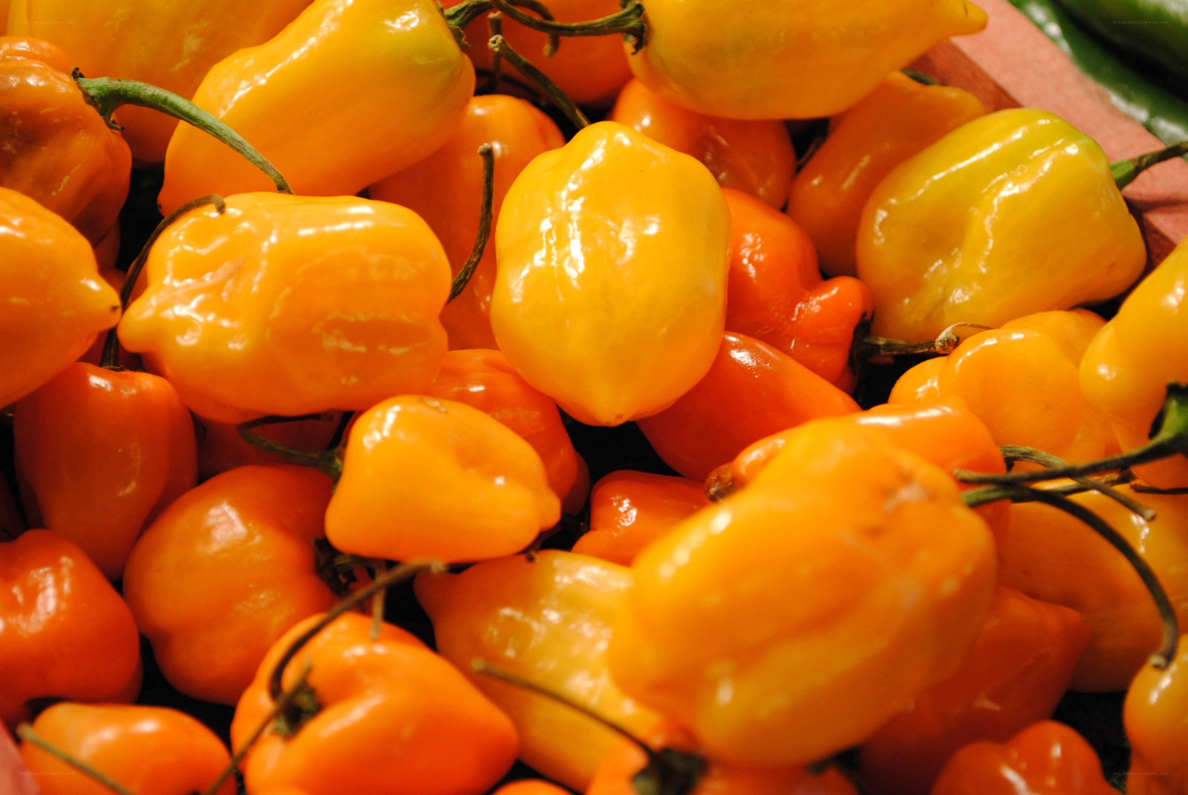 Yellow and orange peppers