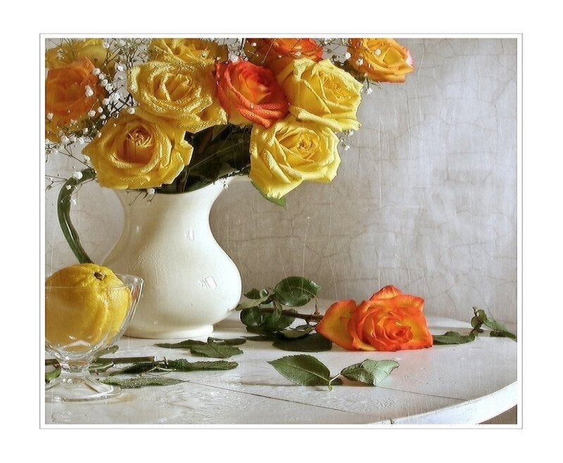 Yellow and Orange Roses — Calm, Photograph