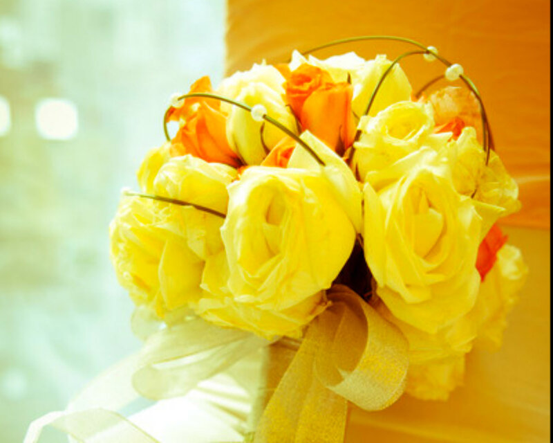 Yellow and Orange Roses — Warm, Photograph