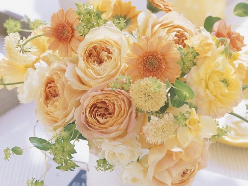 Yellow and Peach Roses — Calm