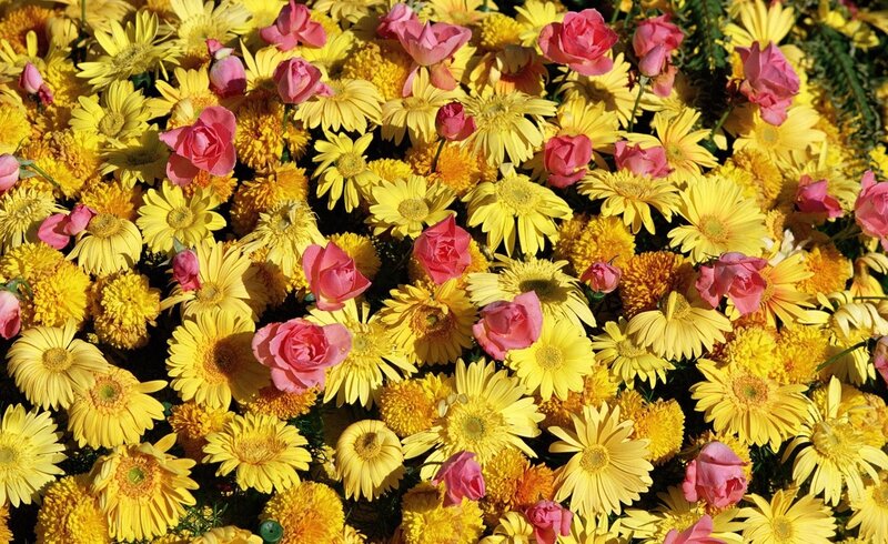 Yellow and pink flower arrangement