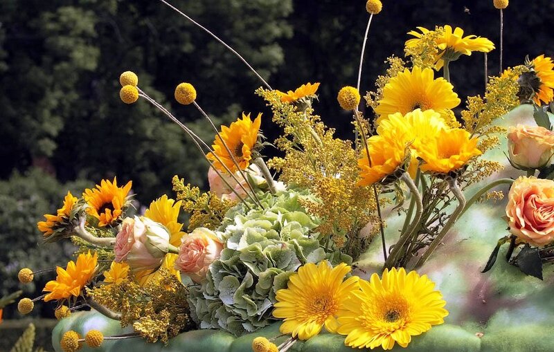 Yellow and Pink Flower Bouquet — Bright