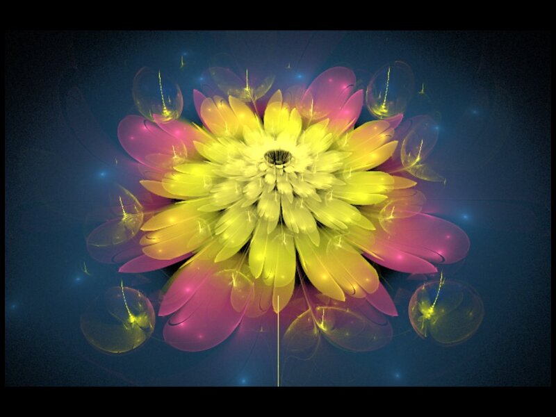 Yellow and Pink Flower — Ethereal