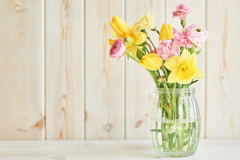 Yellow and Pink Flowers — Calm, Spring