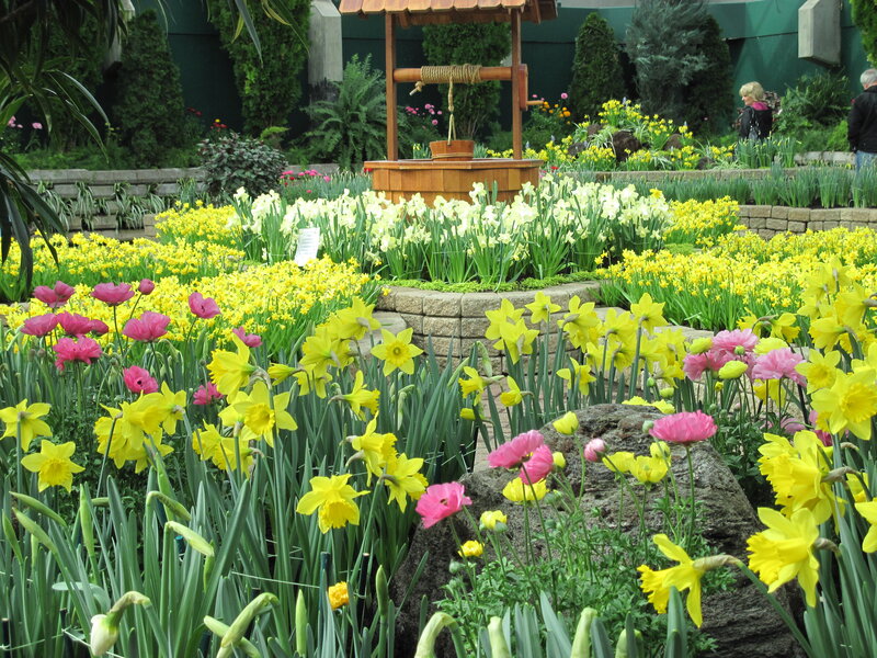 Yellow and Pink Flowers — Serene, Spring, Photograph