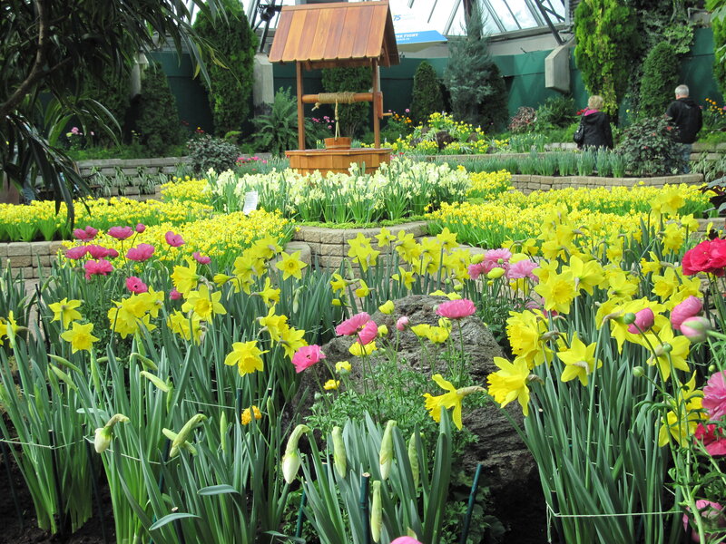 Yellow and Pink Flowers — Serene, Spring