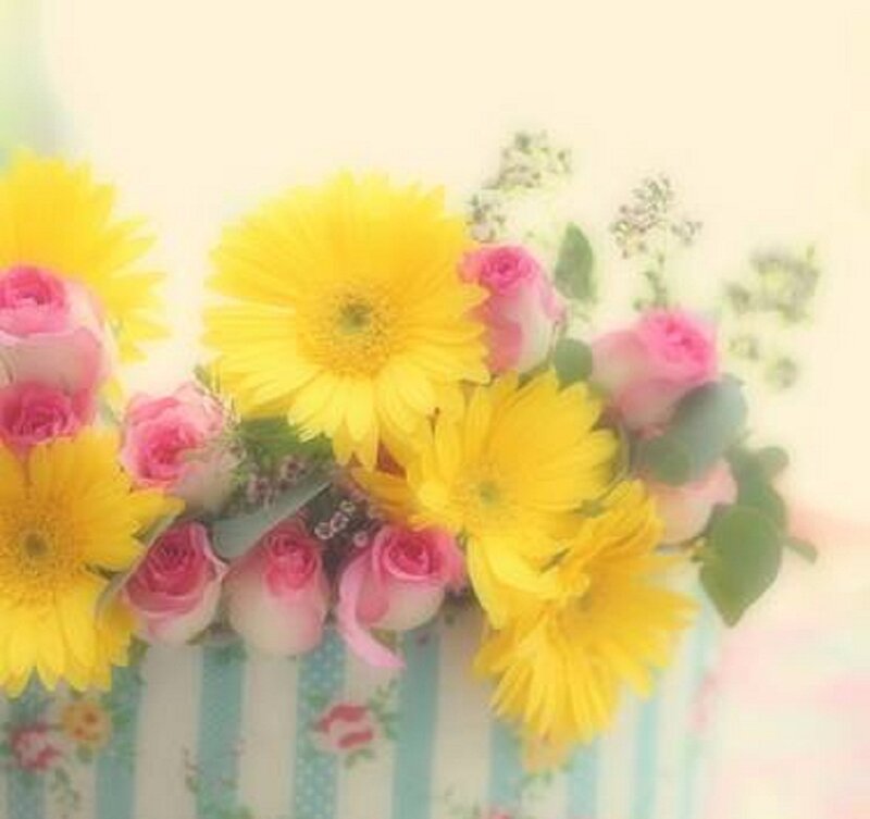 Yellow and Pink Flowers — Soft