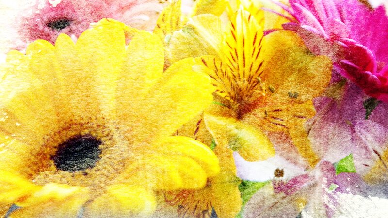 Yellow and Pink Flowers — Vibrant, Painting
