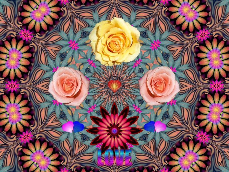 Yellow and Pink Roses — Colorful
