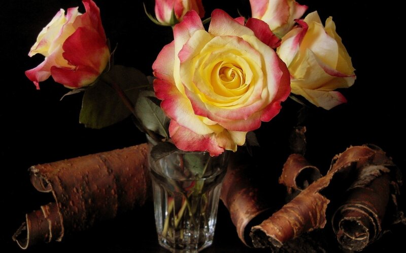 Yellow and Pink Roses — Dramatic, Photograph, Vase