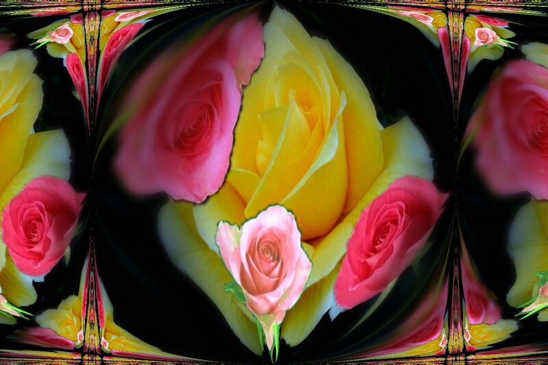 Yellow and Pink Roses — Symmetrical, Digital Art