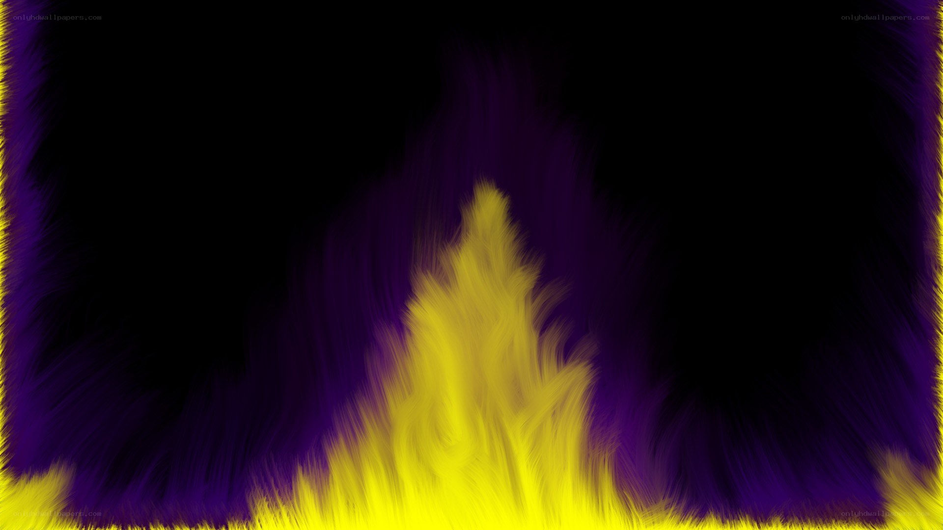 yellow and purple flame effect