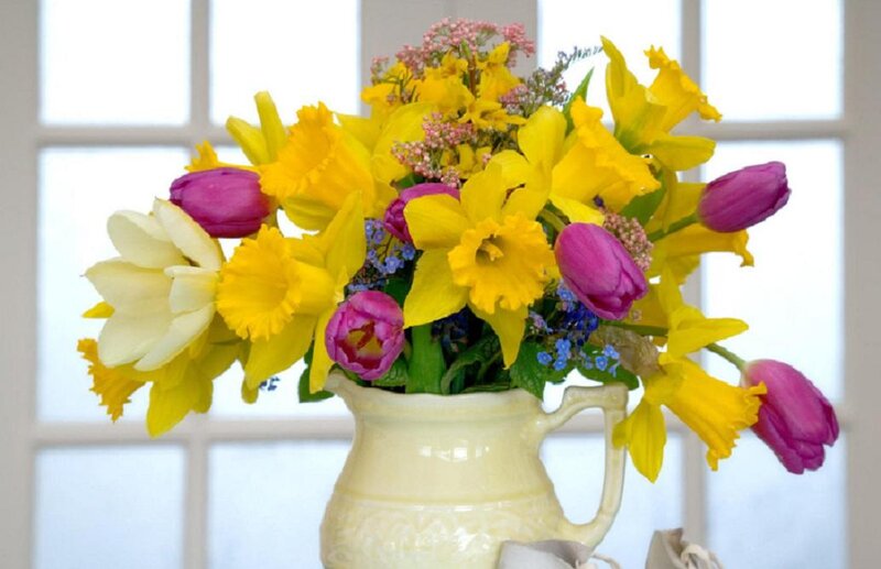 Yellow and Purple Flowers — Calm