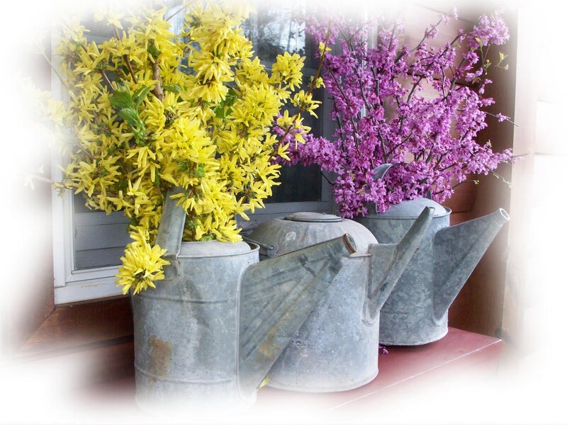Yellow and Purple Flowers — Serene, Spring