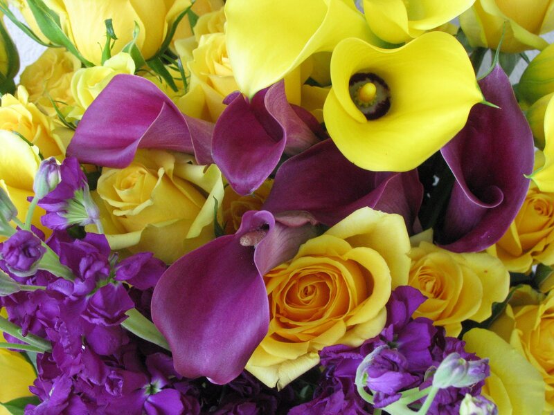 Yellow and Purple Flowers — Vibrant, Photograph, Roses