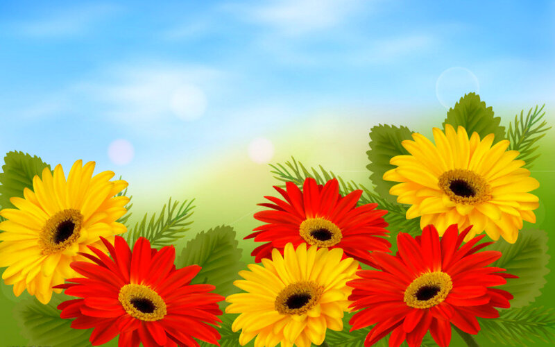 Yellow and Red Gerbera Daisies — Bright