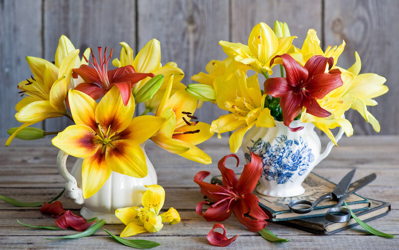 Yellow and Red Lilies — Calm