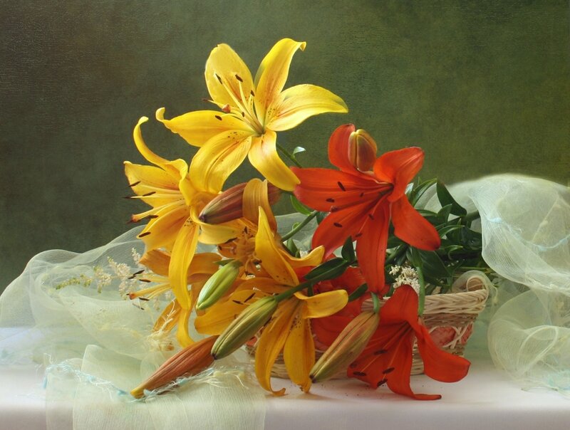 Yellow and Red Lilies