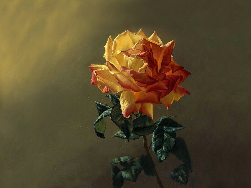 Yellow and Red Rose — Dramatic, Painting, Leaves