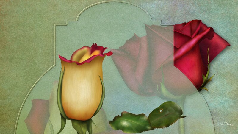 Yellow and Red Rose — Green