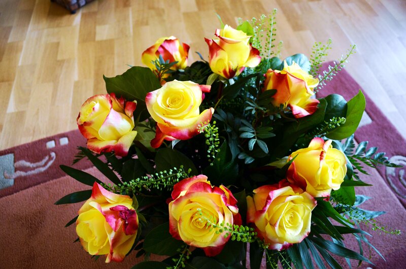 Yellow and Red Roses — Calm, Photograph, Green Leaves