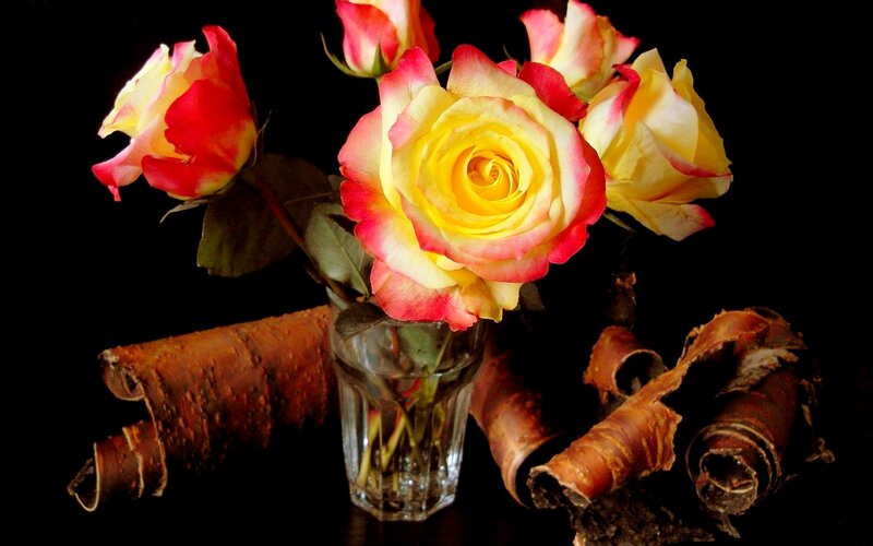 Yellow and Red Roses — Dramatic, Photograph, Glass Vase