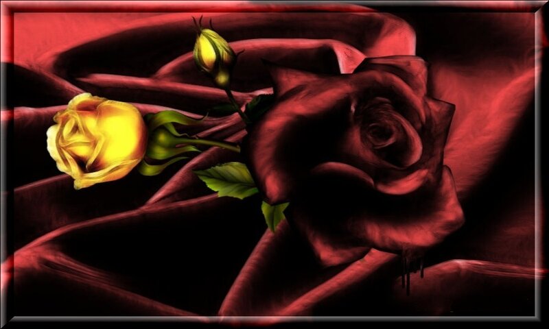 Yellow and Red Roses — Dramatic