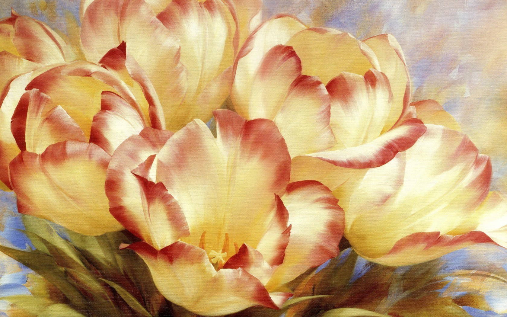 Yellow and red tulips painting