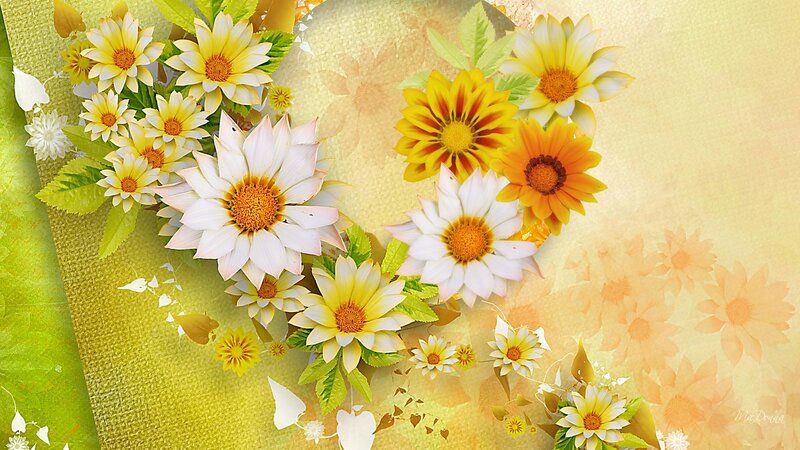 Yellow and White Daisies