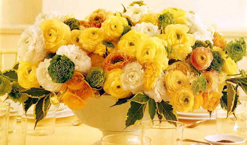Yellow and White Flower Arrangement — Calm