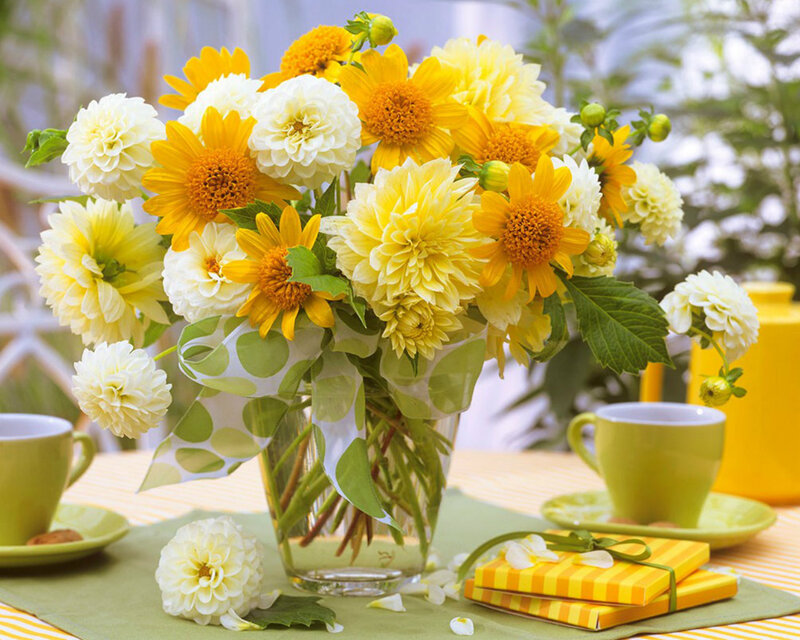 Yellow and White Flowers — Calm, Morning, Photograph