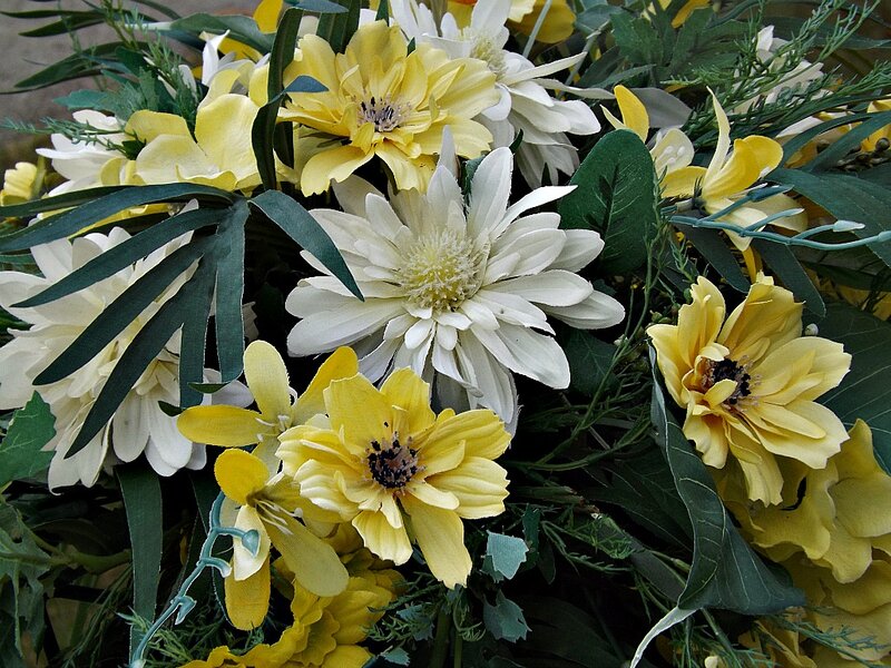 Yellow and White Flowers — Calm, Photograph, Green Leaves