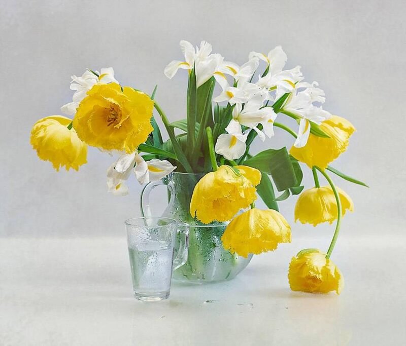 Yellow and White Flowers — Calm, Spring, Photograph, Vase