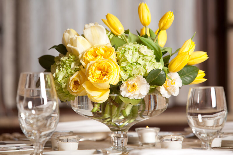 Yellow and White Flowers — Elegant