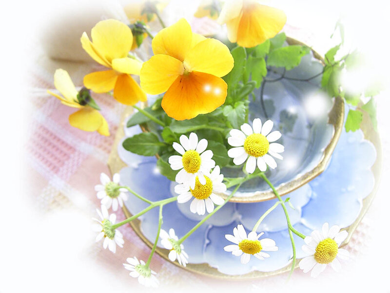 Yellow and white flowers in a teacup