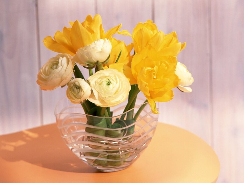 Yellow and white flowers in a vase