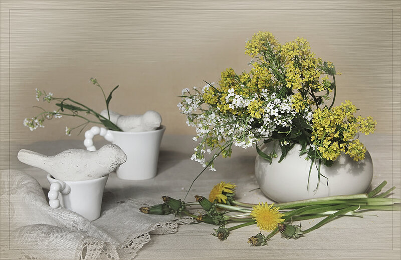Yellow and White Flowers — Serene, Spring, Photograph