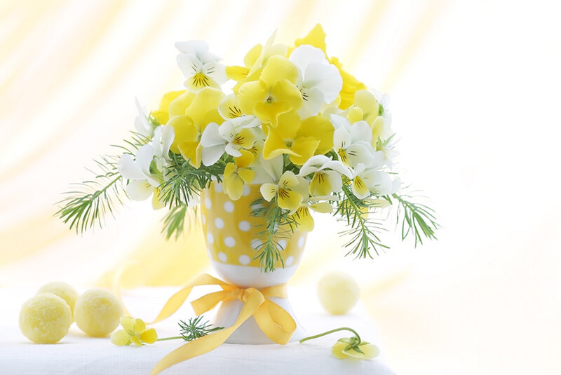Yellow and White Flowers — Serene, Spring, Photograph, Vase